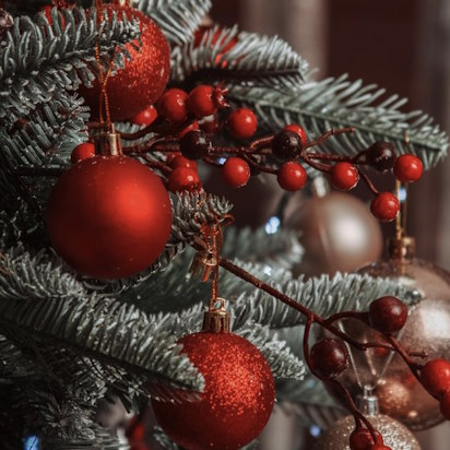 Early Christmas